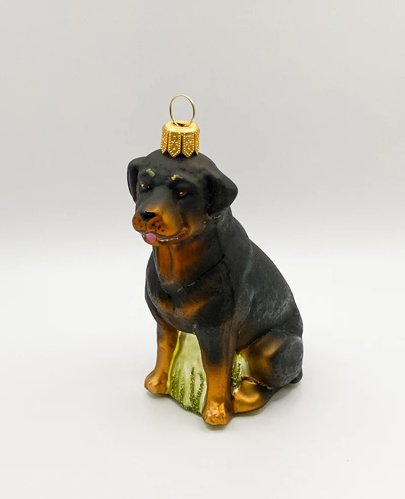 Sitzender Rottweiler Hund