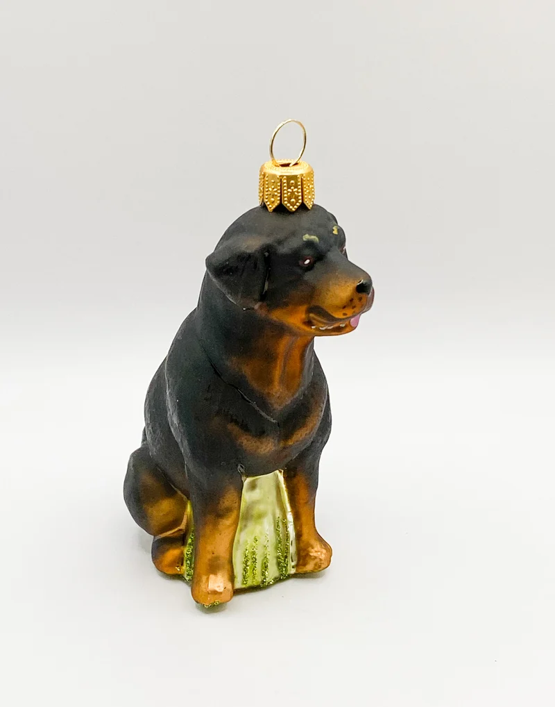 Sitzender Rottweiler Hund