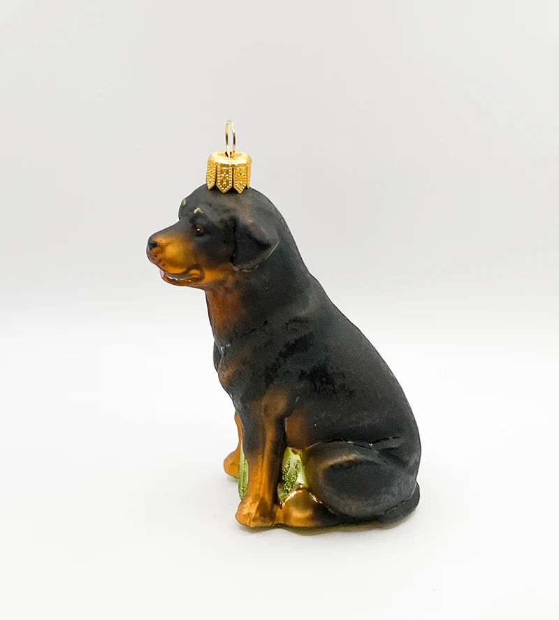 Sitzender Rottweiler Hund