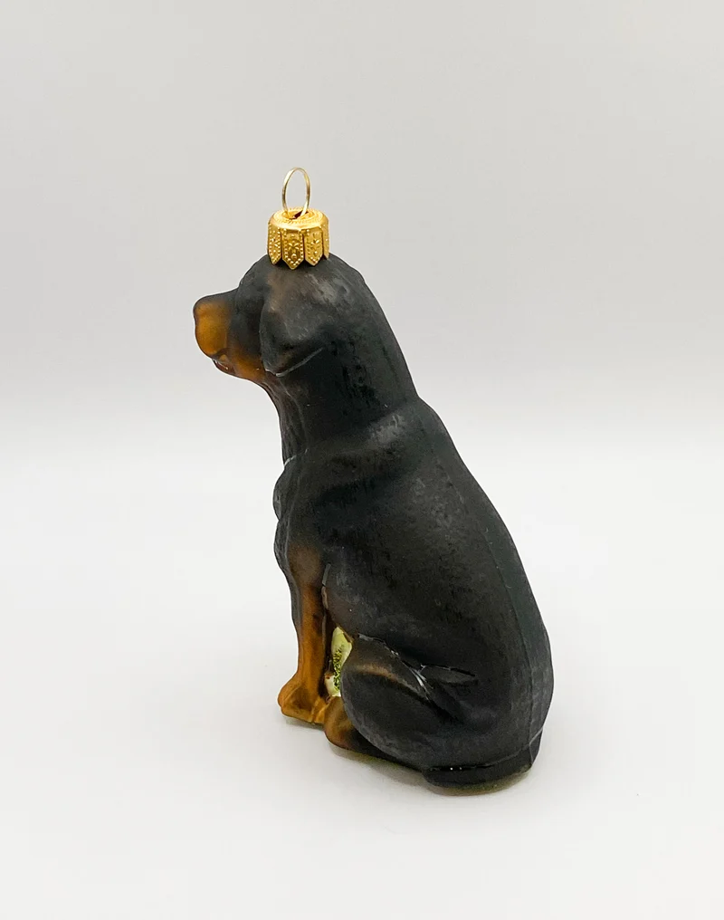 Sitzender Rottweiler Hund