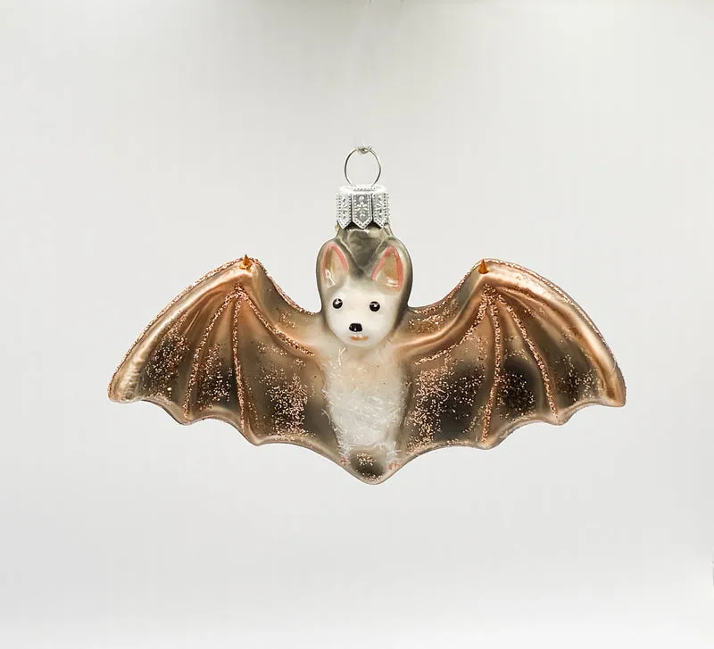 Fledermaus unterwegs