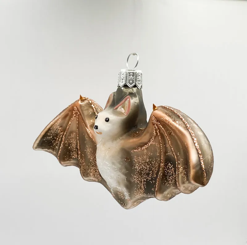 Fledermaus unterwegs