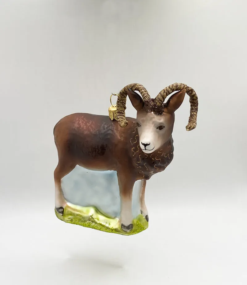 Mufflon Wildschaf