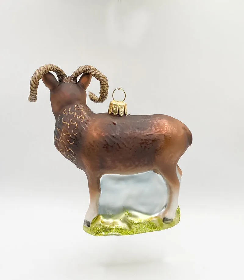 Mufflon Wildschaf