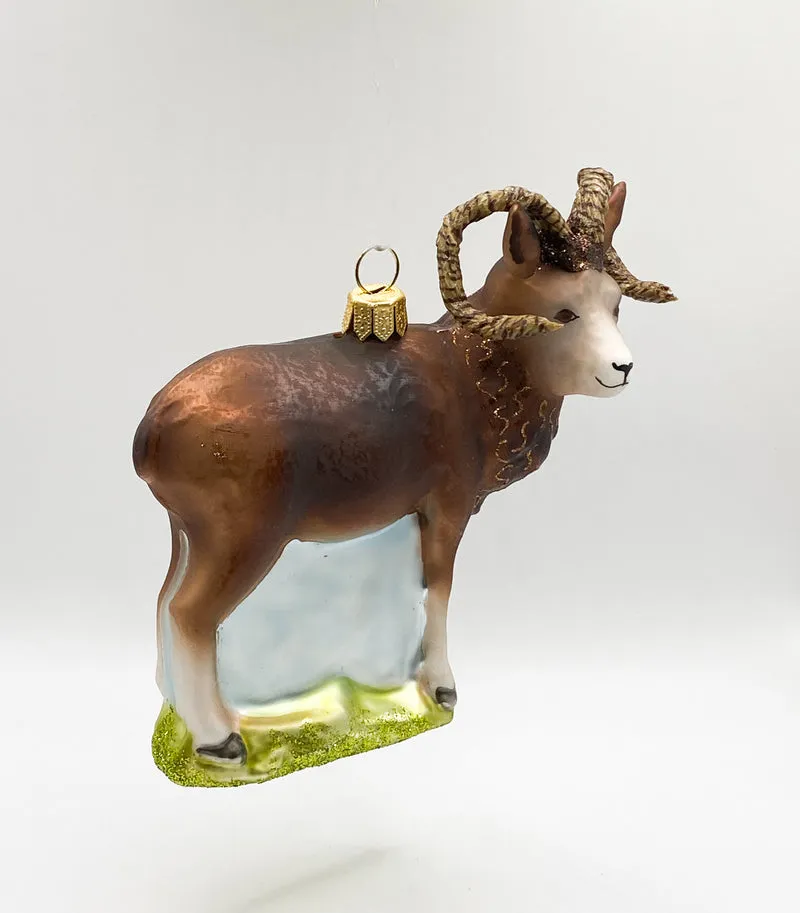 Mufflon Wildschaf