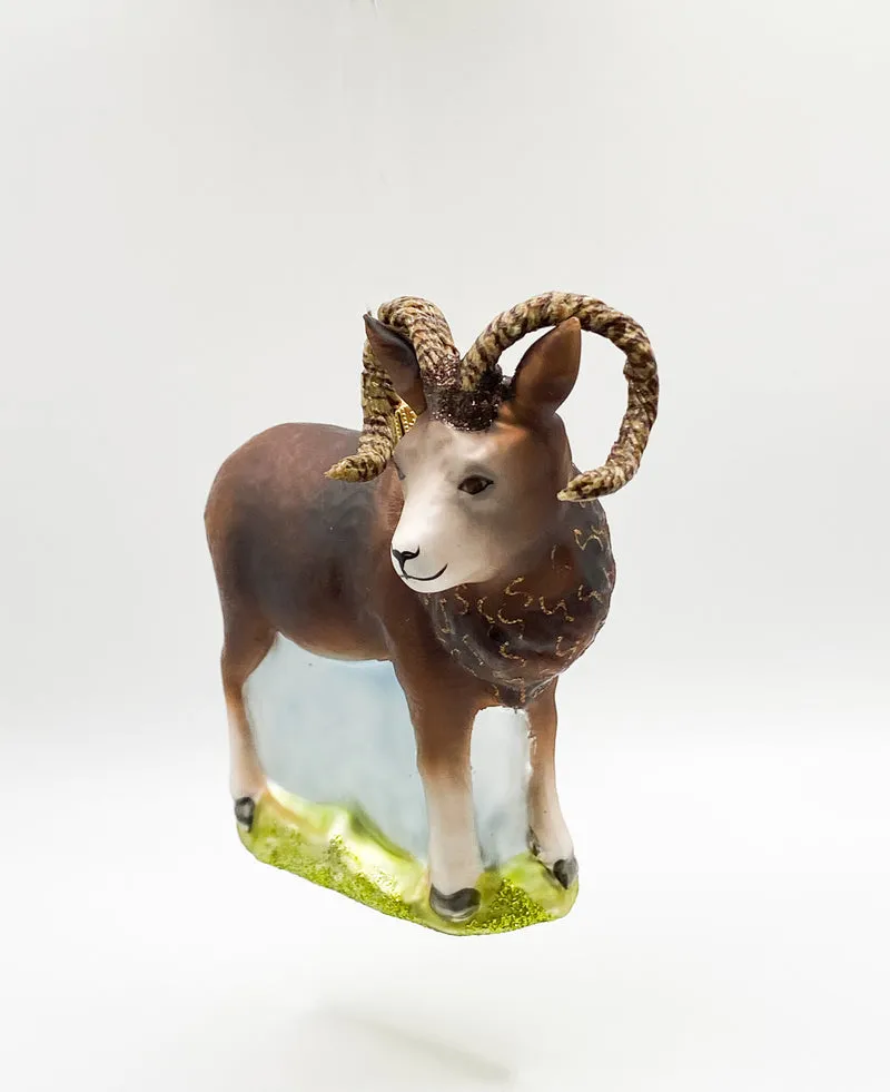Mufflon Wildschaf