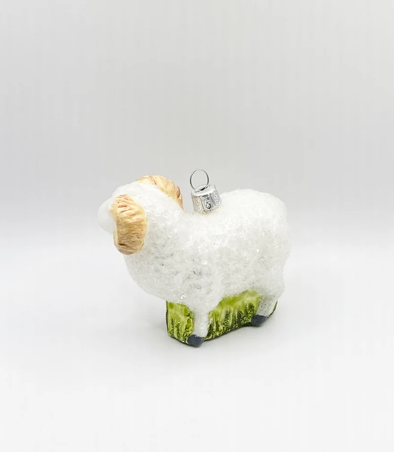 Weisser Widder, Schafbock