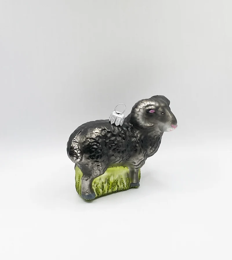 Schwarzer Widder, Schafbock