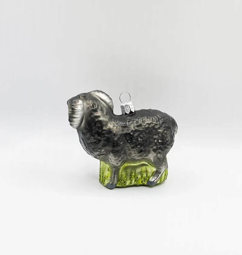 Schwarzer Widder, Schafbock