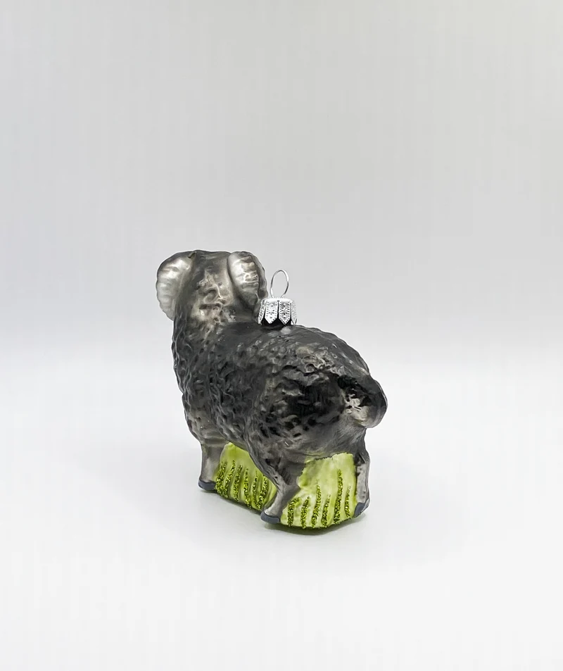Schwarzer Widder, Schafbock