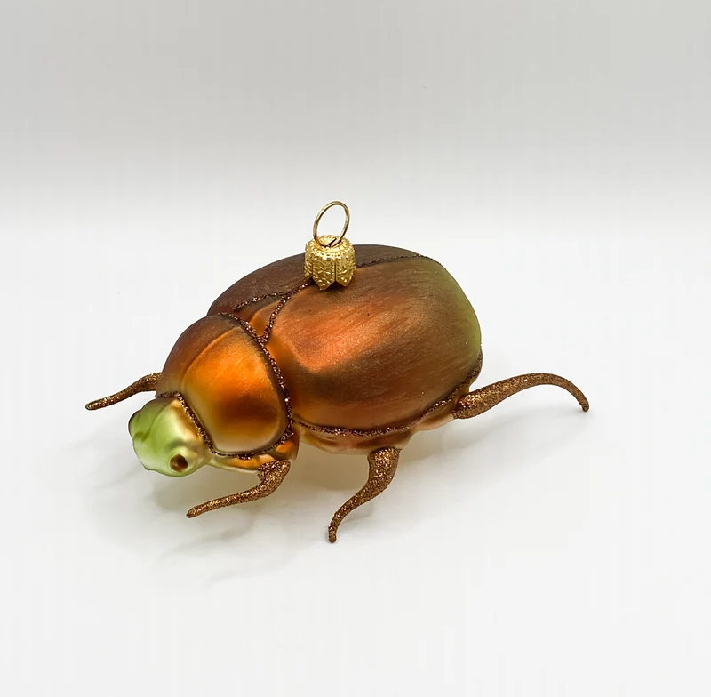 Bronzefarbener Käfer