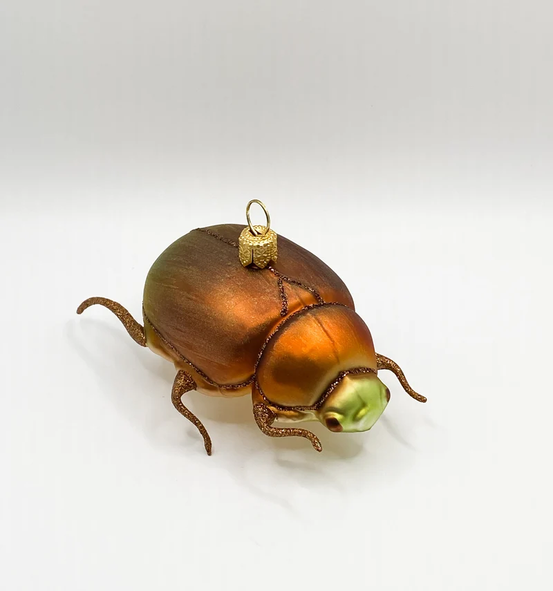 Bronzefarbener Käfer