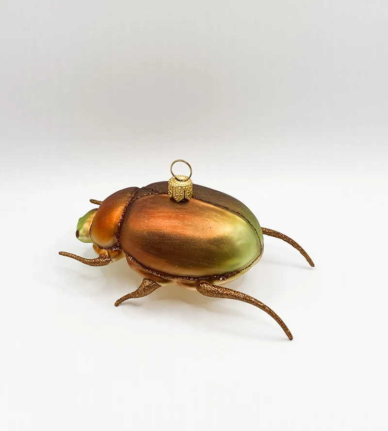 Bronzefarbener Käfer