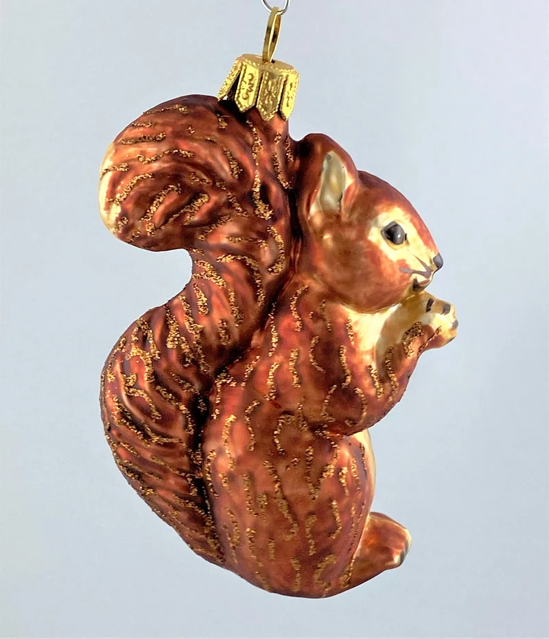 Eichhörnchen