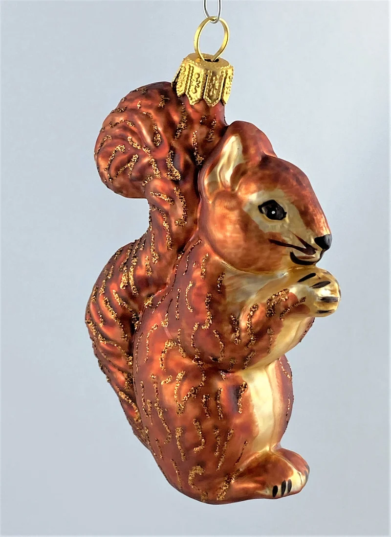Eichhörnchen