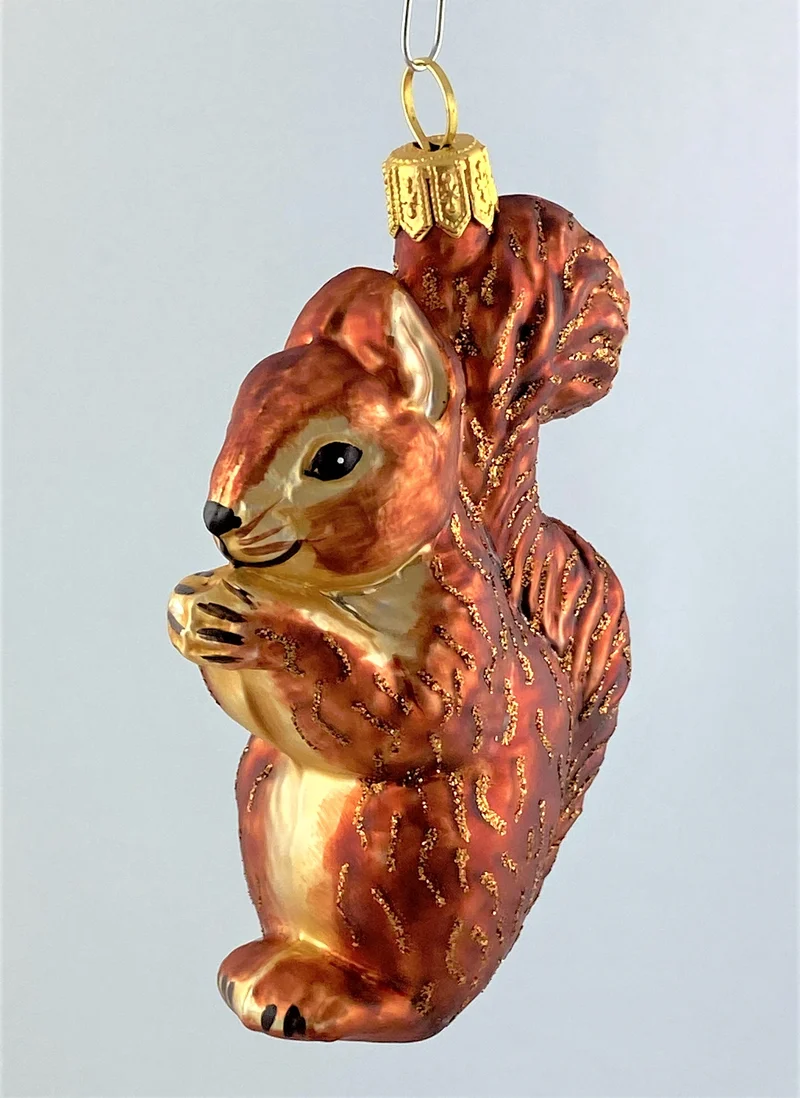 Eichhörnchen