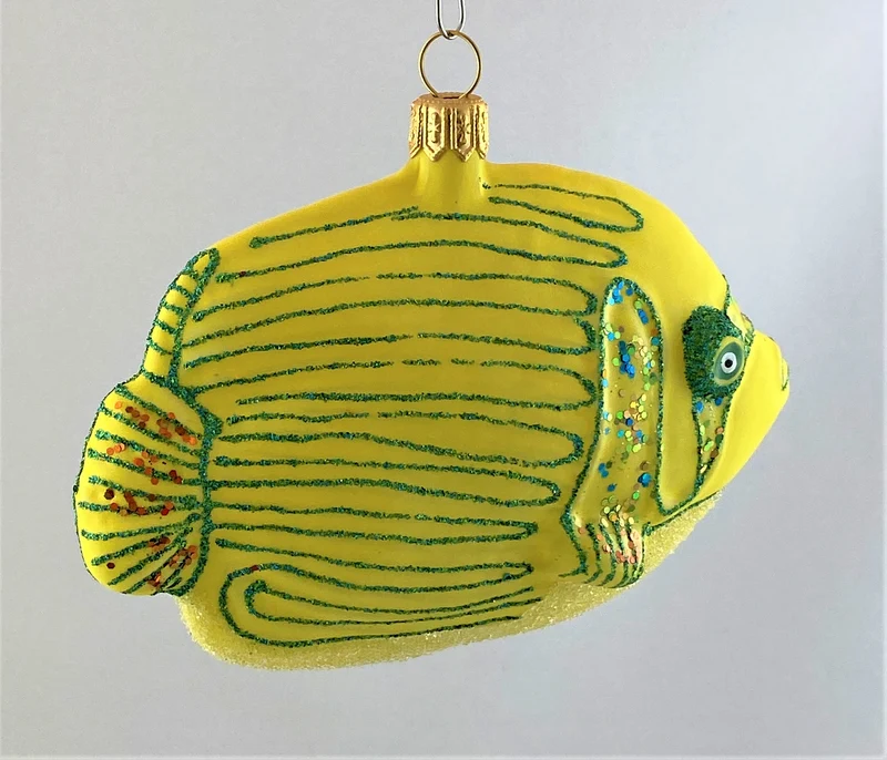 gelber Korallenfisch