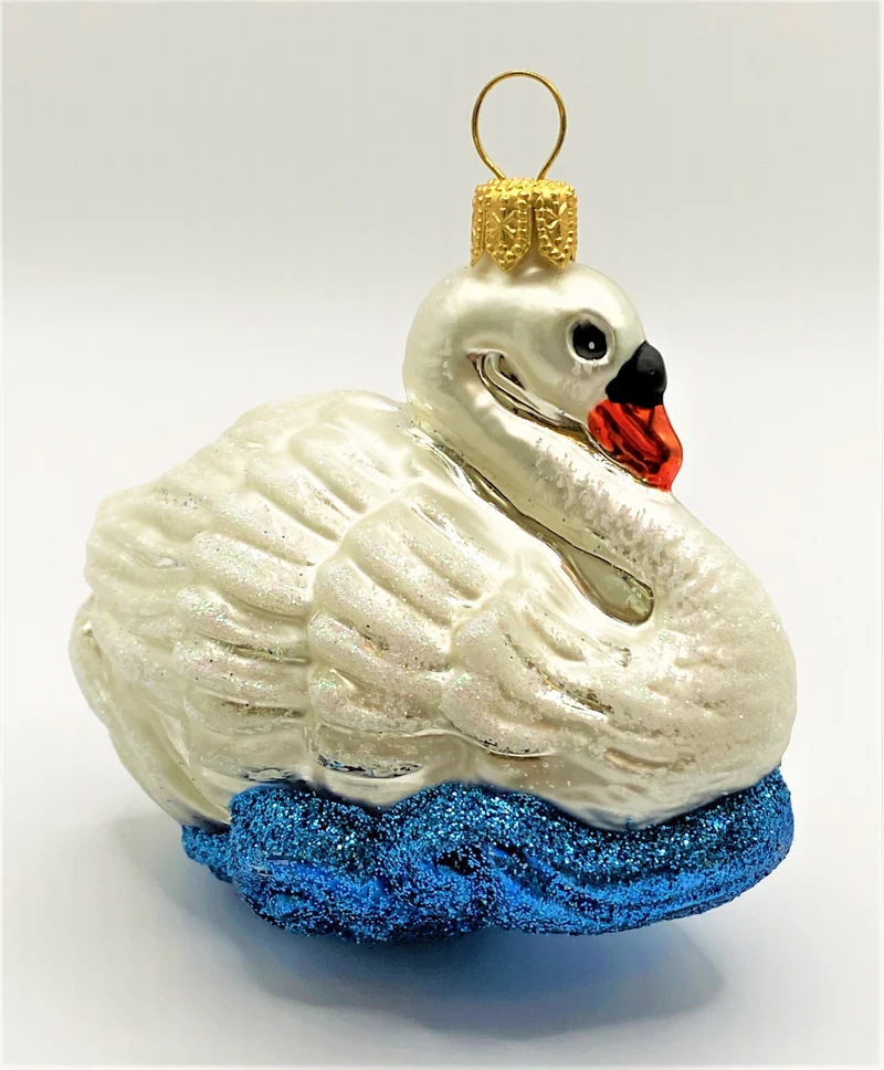 Schwan im Wasser