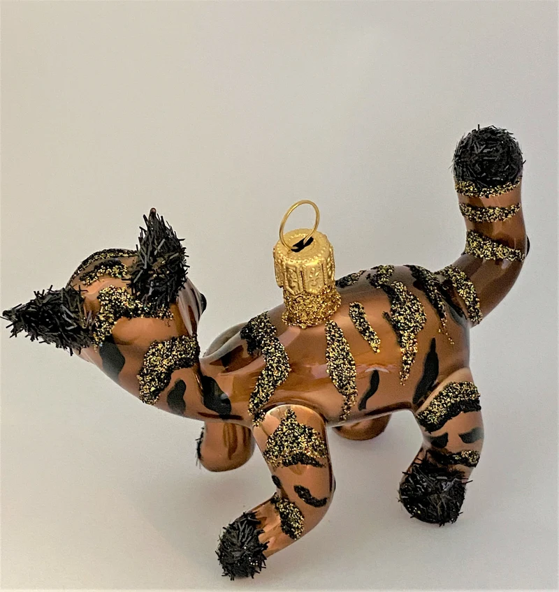 Herzige rote Tiger-Katze