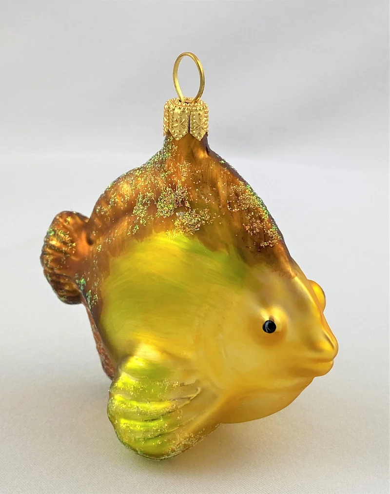 Kleiner Riff-Fisch mit braunen Flossen