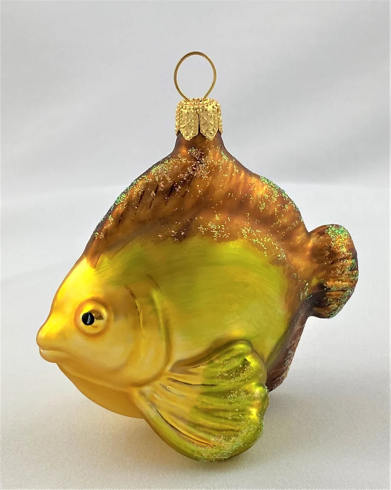 Kleiner Riff-Fisch mit braunen Flossen