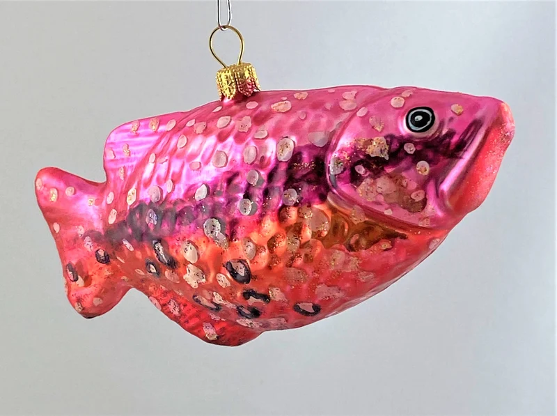 Schützenfisch mit dunklem Längsstreifen