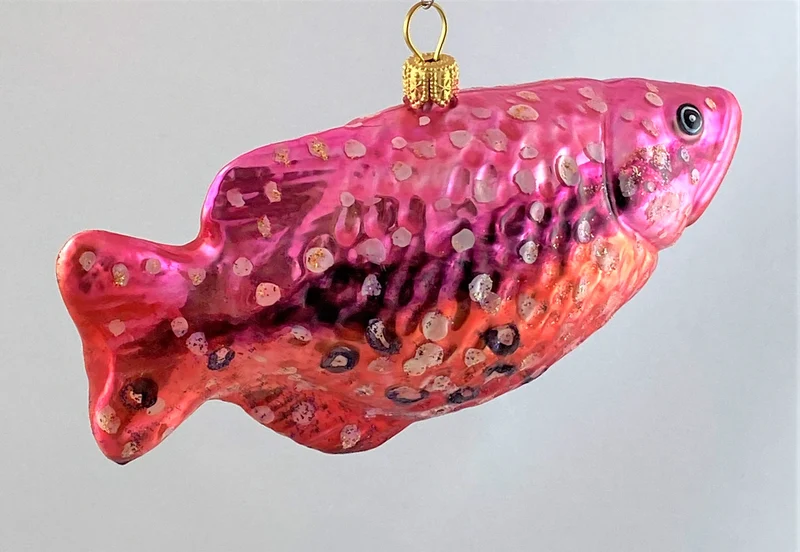 Schützenfisch mit dunklem Längsstreifen
