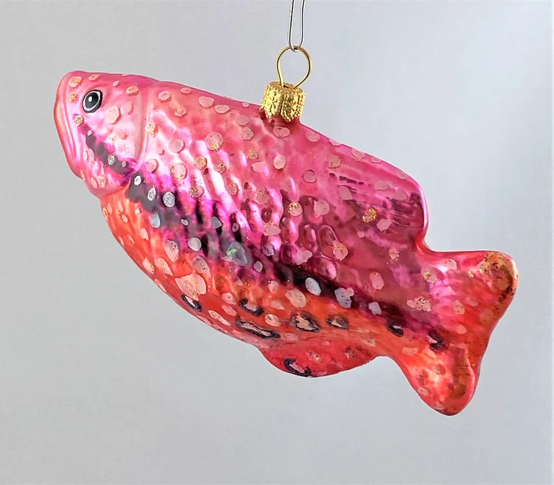 Schützenfisch mit dunklem Längsstreifen