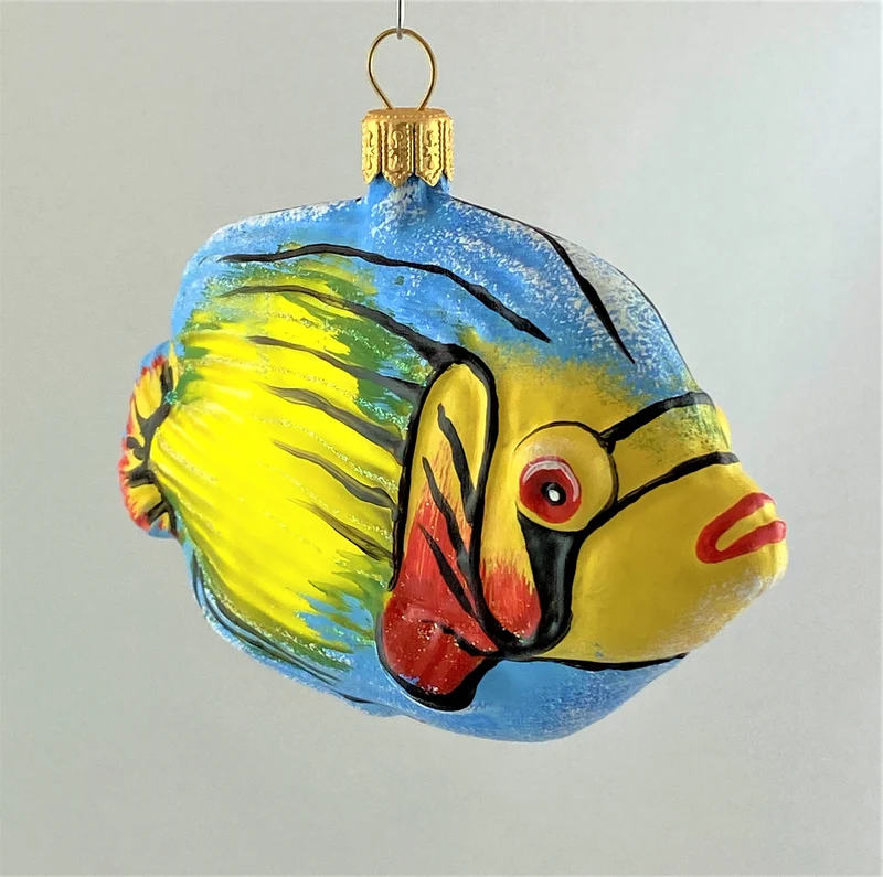 Bunter Riff-Fisch