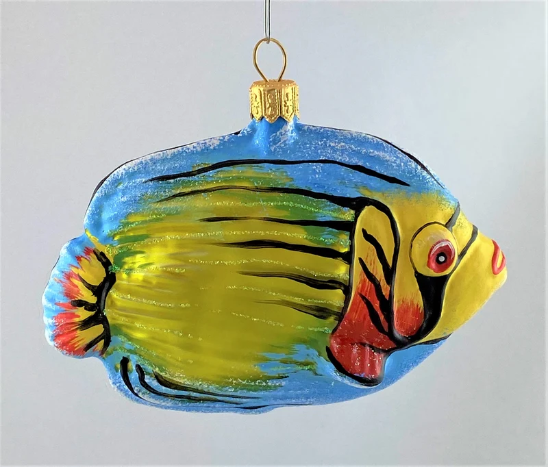 Bunter Riff-Fisch