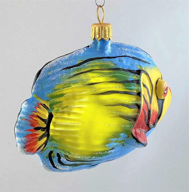 Bunter Riff-Fisch