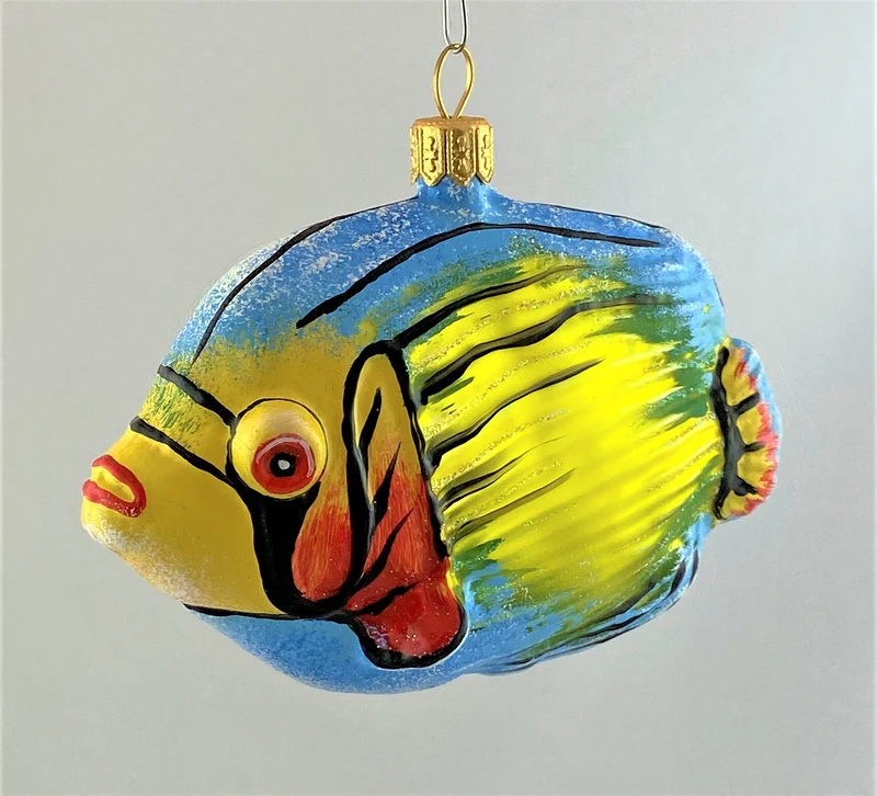 Bunter Riff-Fisch
