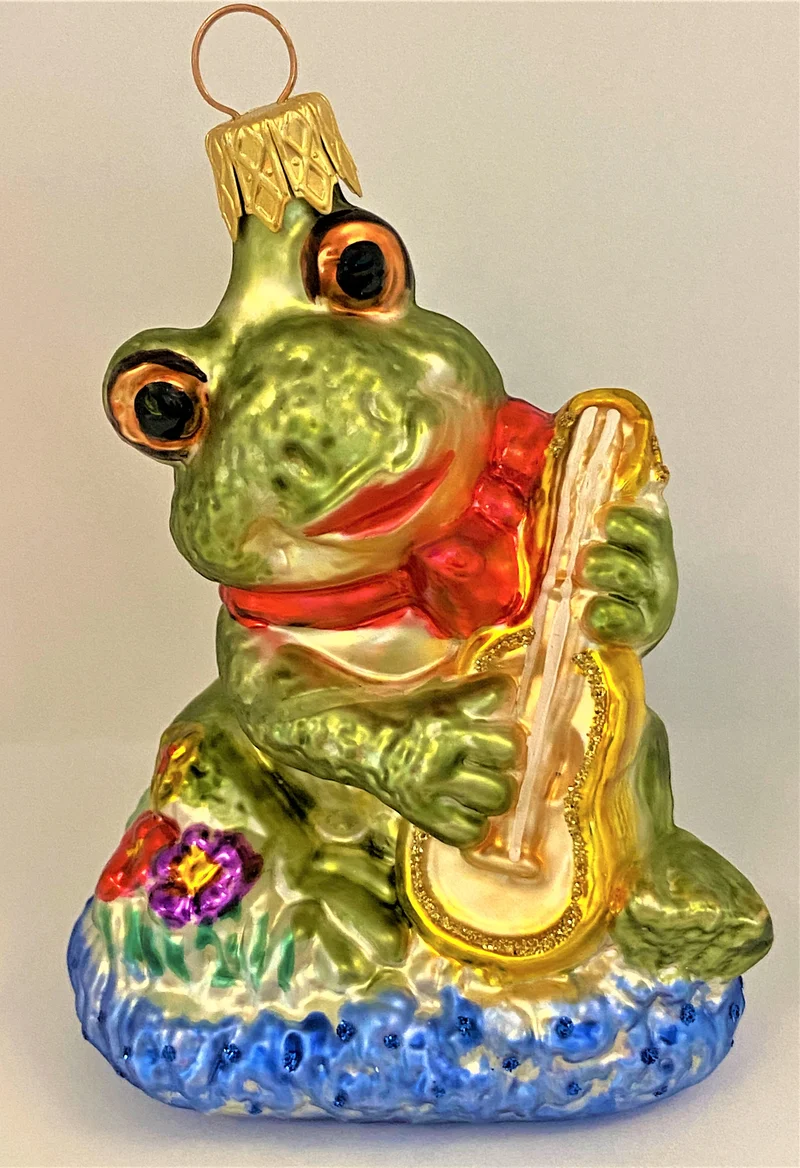 Fröhlicher Frosch spielt Gitarre