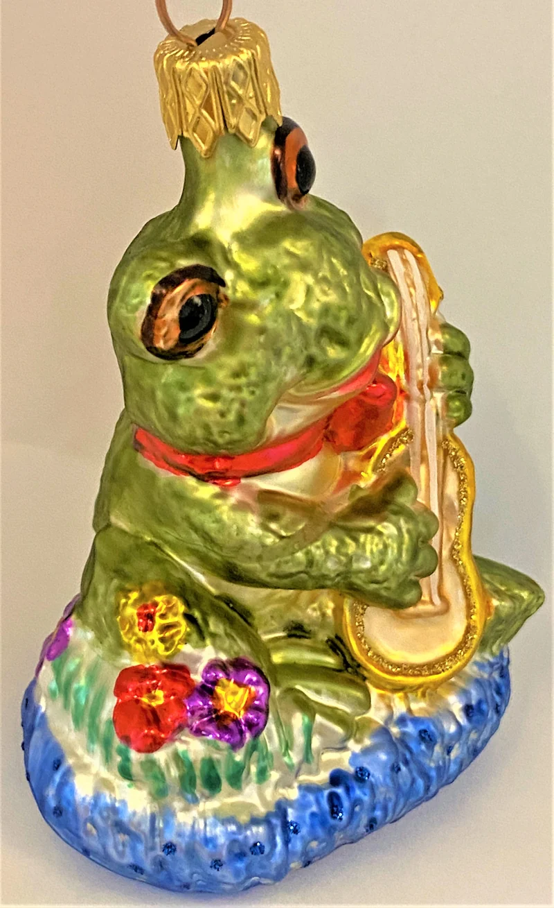 Fröhlicher Frosch spielt Gitarre