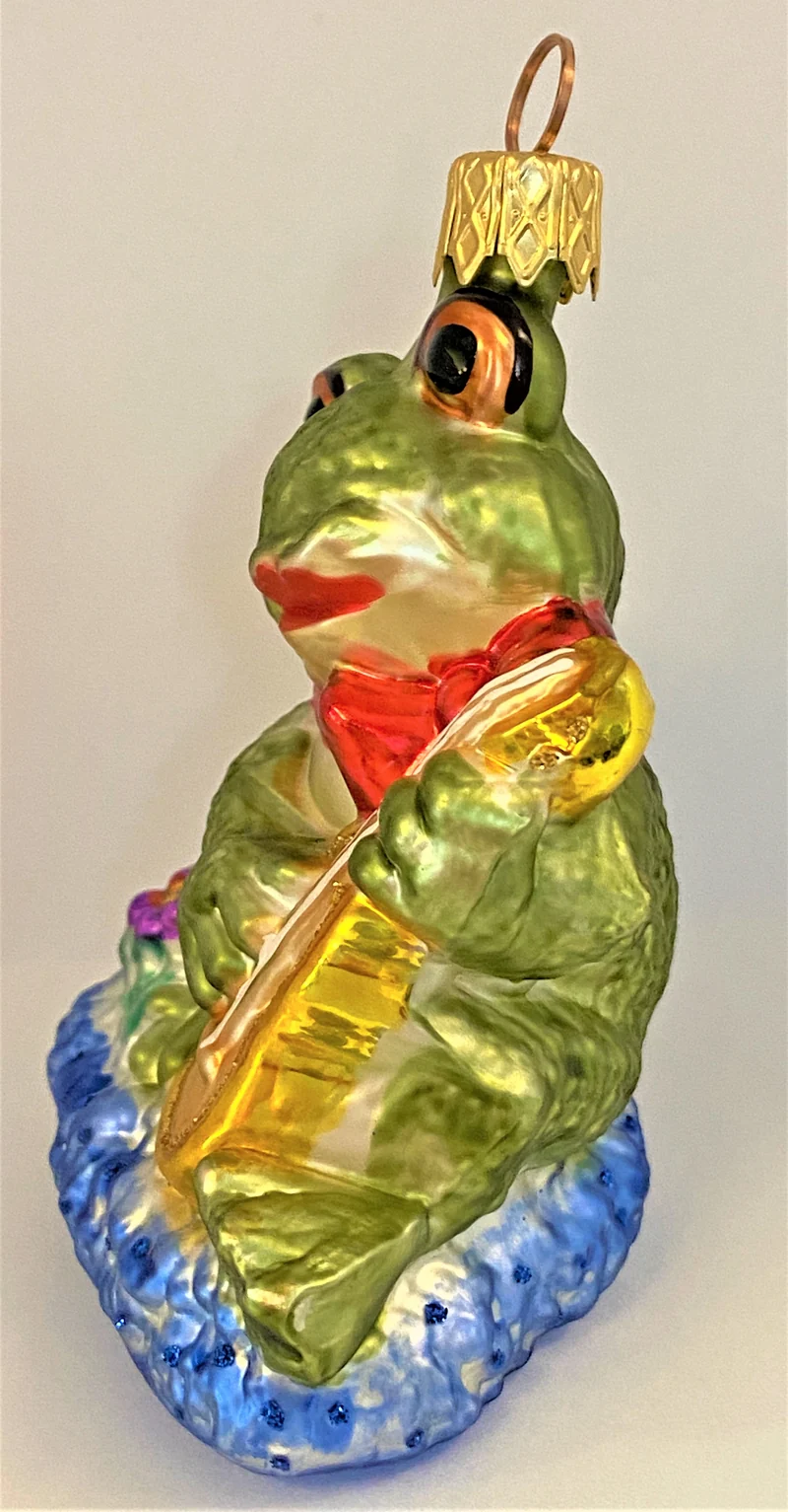 Fröhlicher Frosch spielt Gitarre
