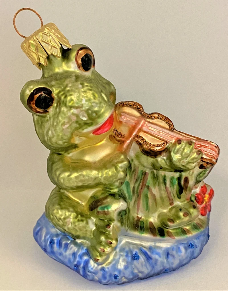 Fröhlicher Frosch spielt Geige