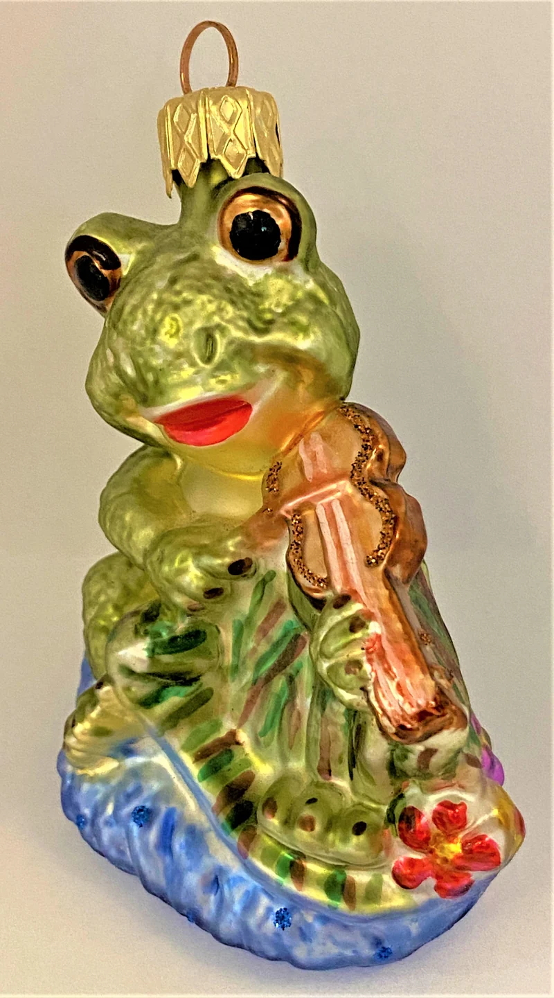 Fröhlicher Frosch spielt Geige