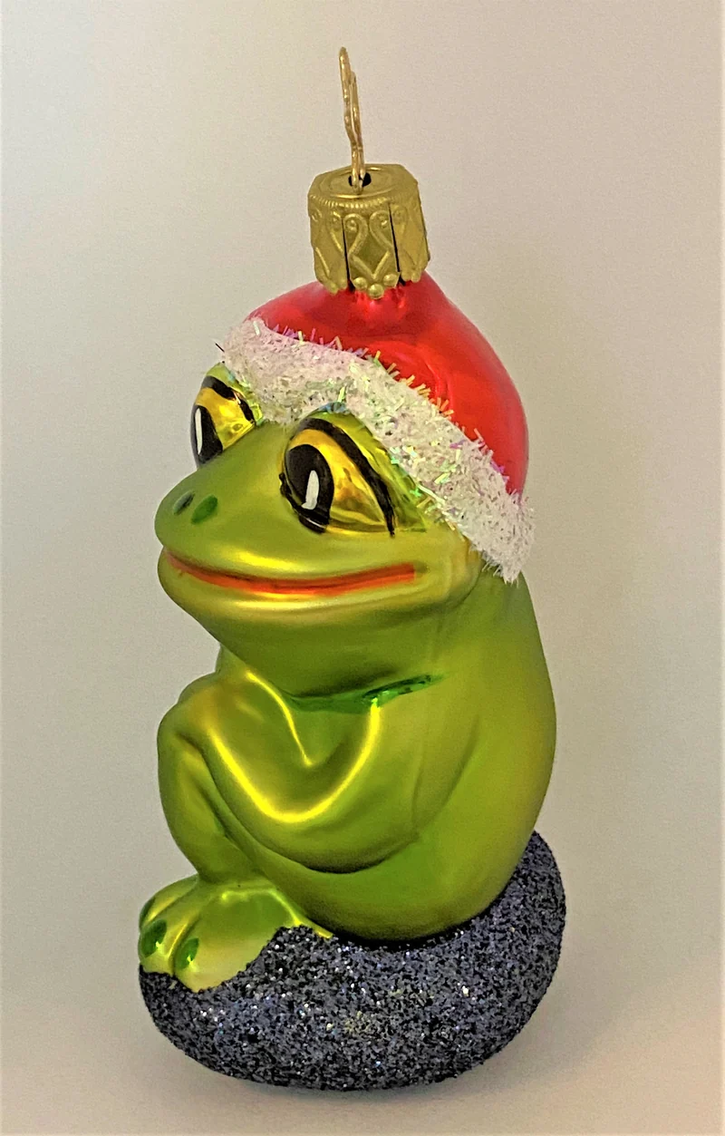 Frosch freut sich auf Weihnachten