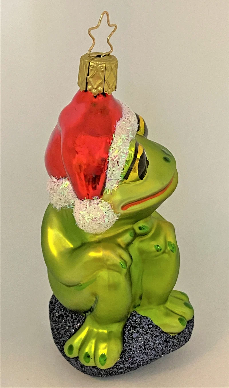 Frosch freut sich auf Weihnachten