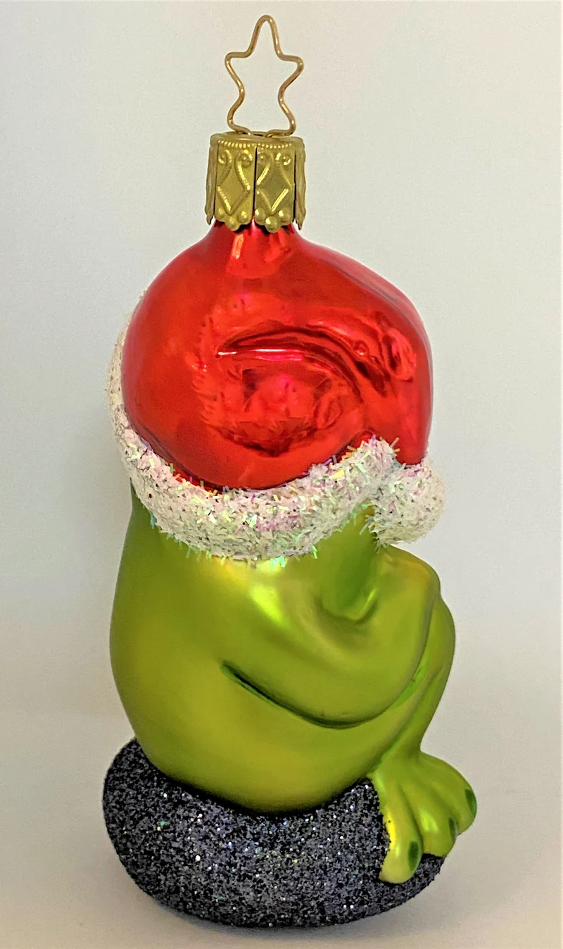 Frosch freut sich auf Weihnachten