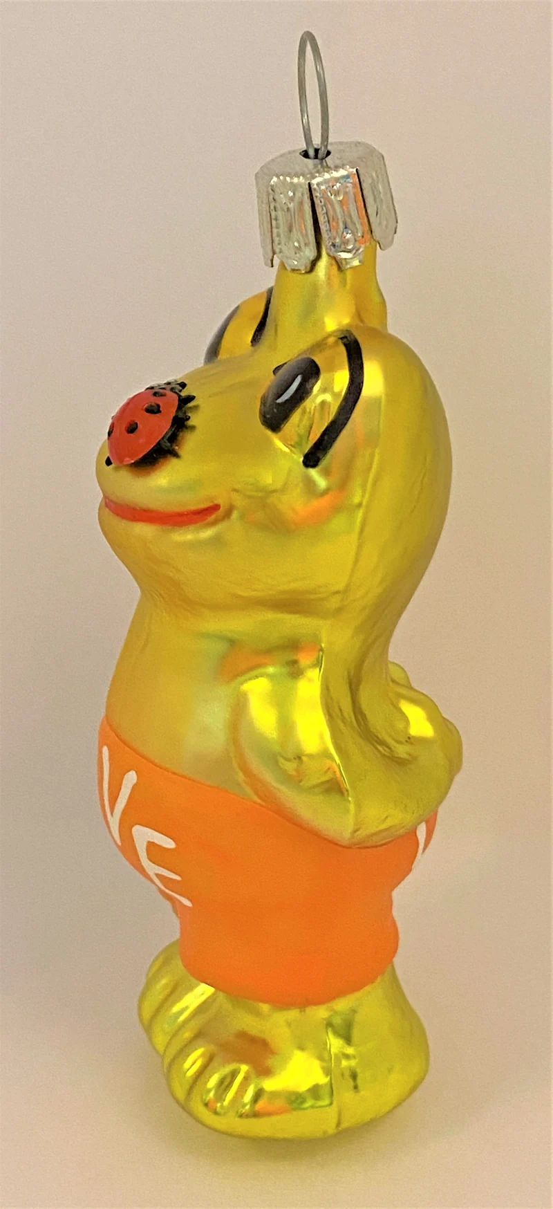 Froschjunge mit Glückskäfer auf der Nase