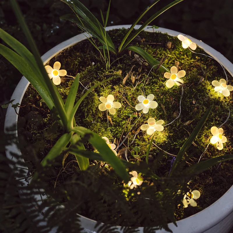 20er LED Micro Lichterkette außen Gänseblümchen