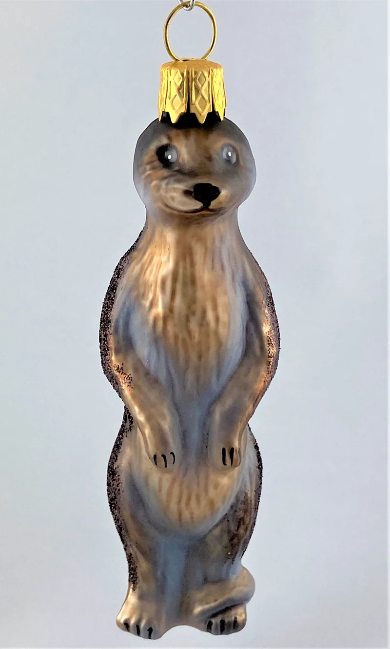 Kleines Erdmännchen