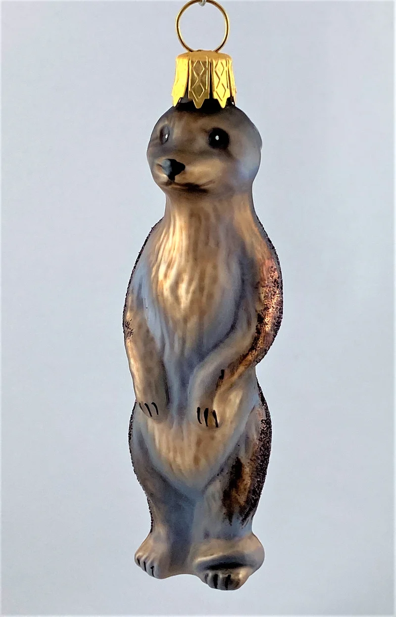 Kleines Erdmännchen