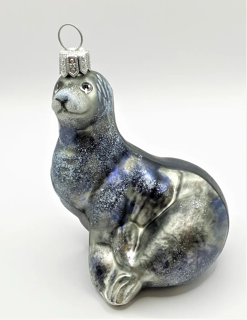 Grauer Seehund