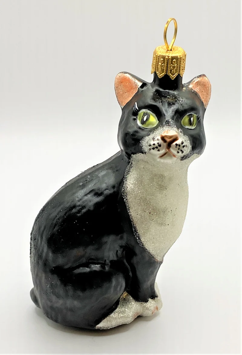 Sitzende schwarze Katze mit weisser Brust