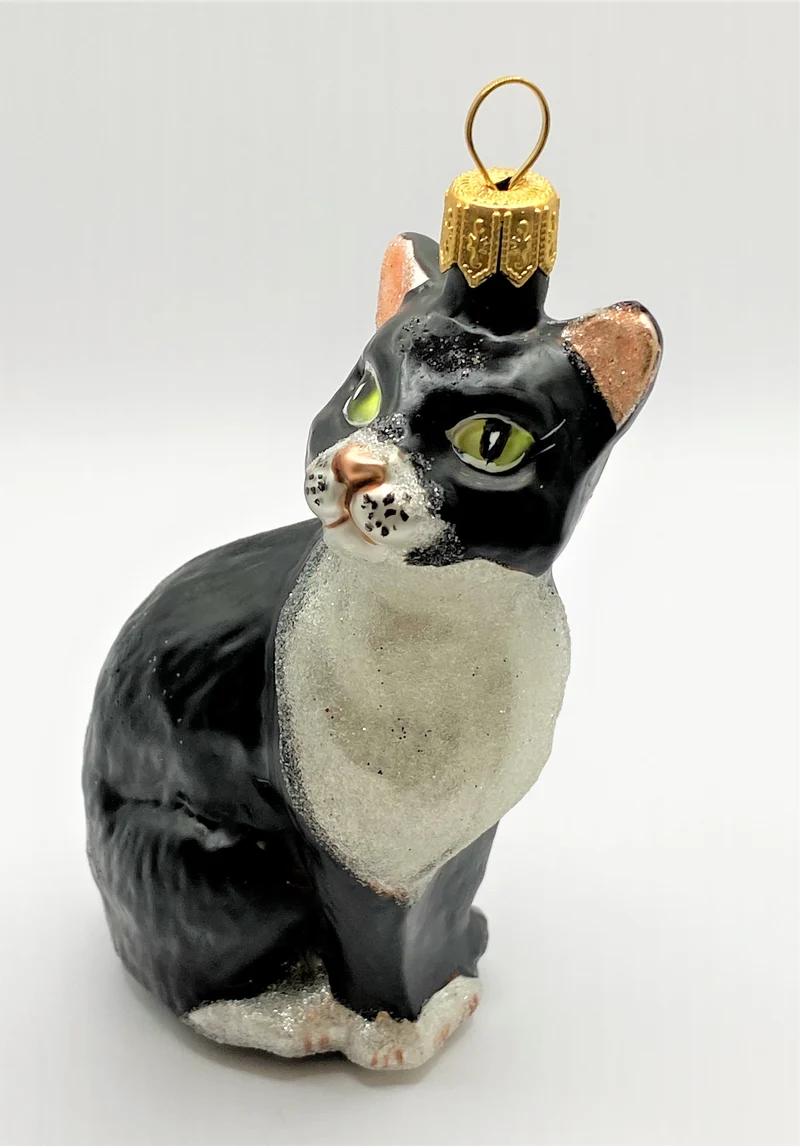 Sitzende schwarze Katze mit weisser Brust