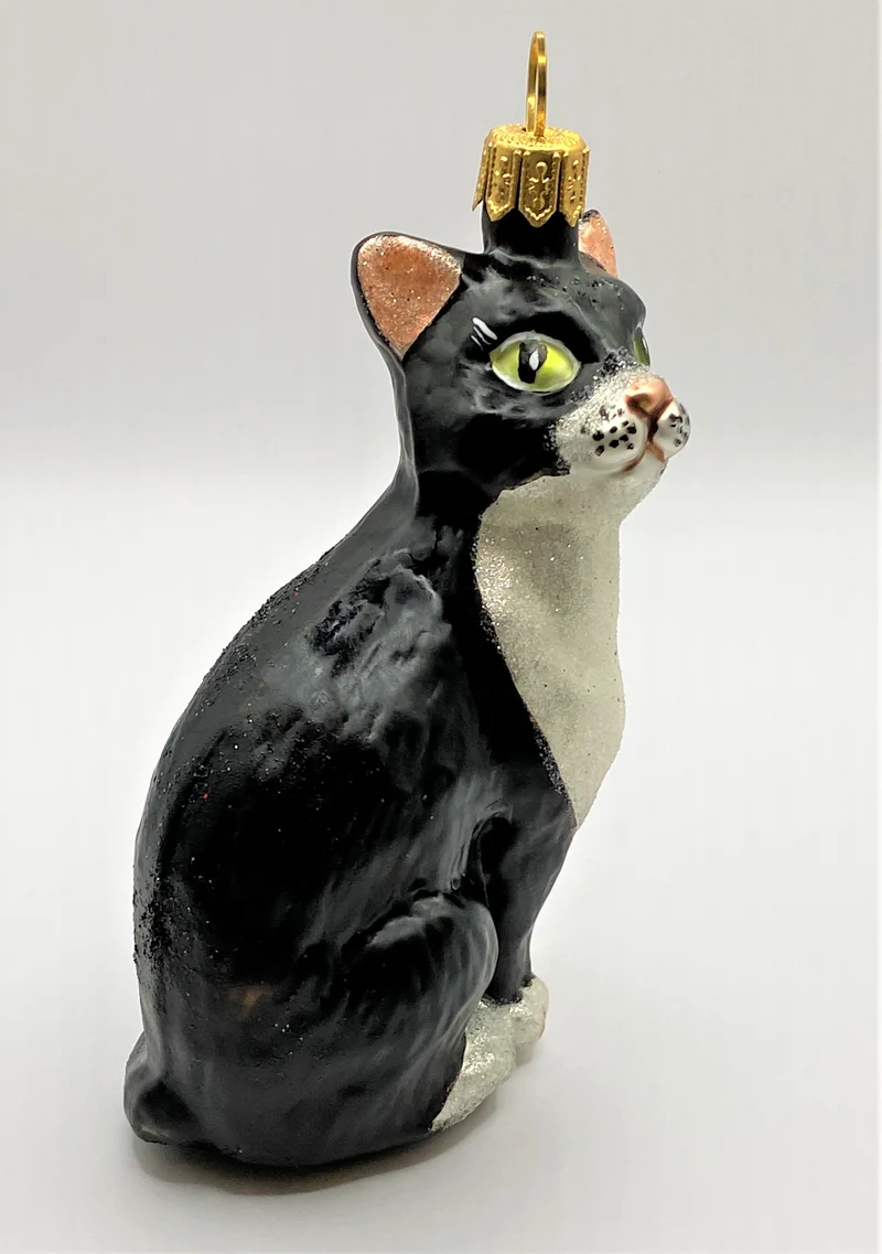 Sitzende schwarze Katze mit weisser Brust