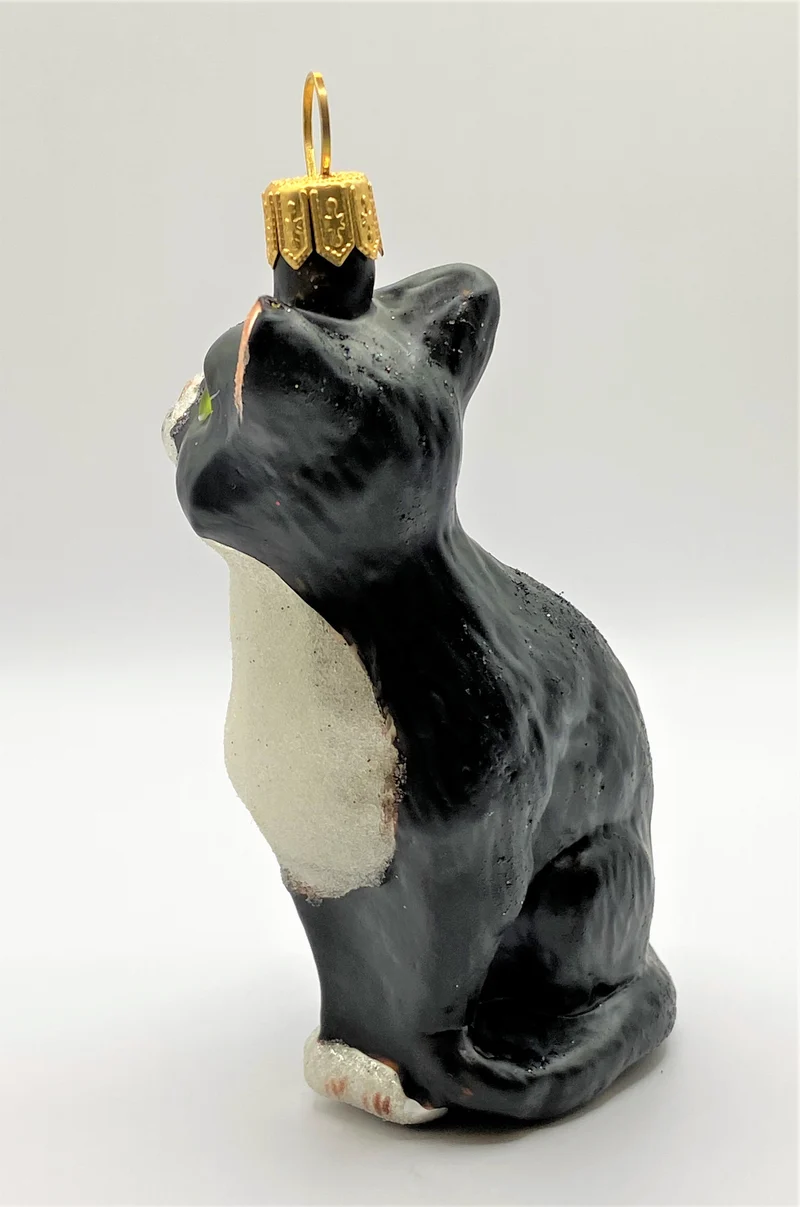 Sitzende schwarze Katze mit weisser Brust