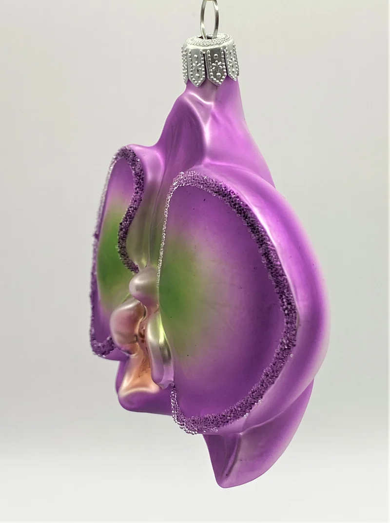 Phalaenopsis violett